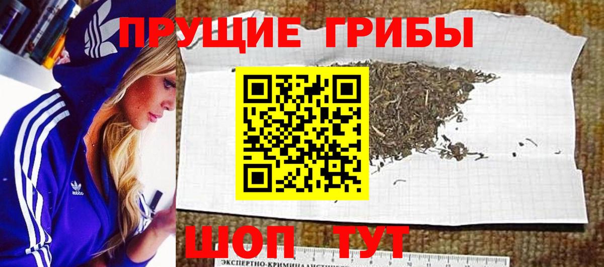 Псилоцибиновые грибы MAGIC MUSHROOMS  Вход с VPN  Можайск 