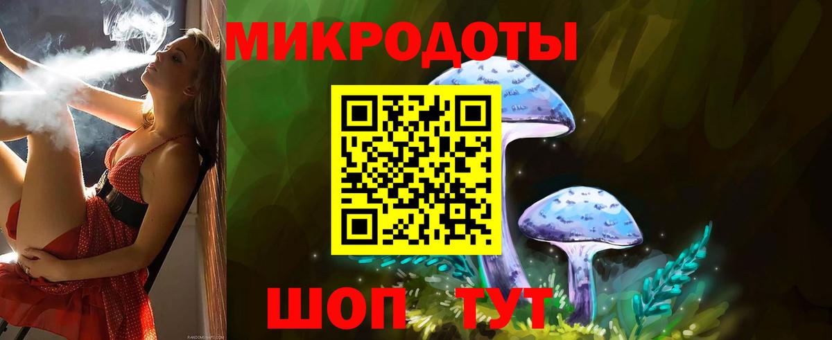 Псилоцибиновые грибы Cubensis Можайск